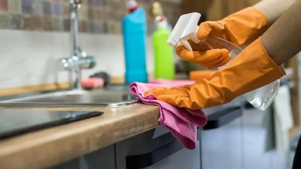 Las empleadas domésticas tendrán aumentos mensuales hasta fin de&nbsp;año
